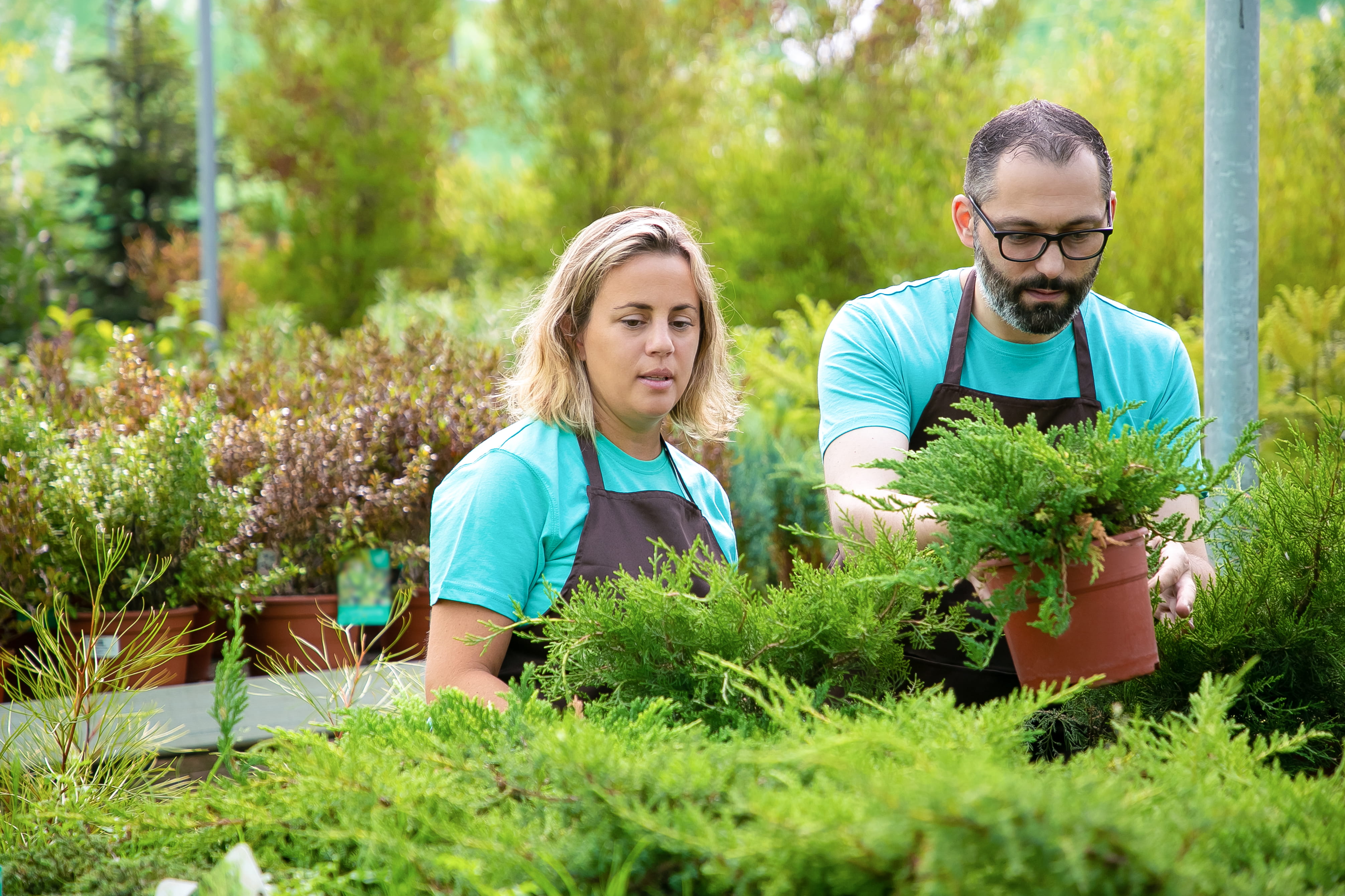 Landscaping Team