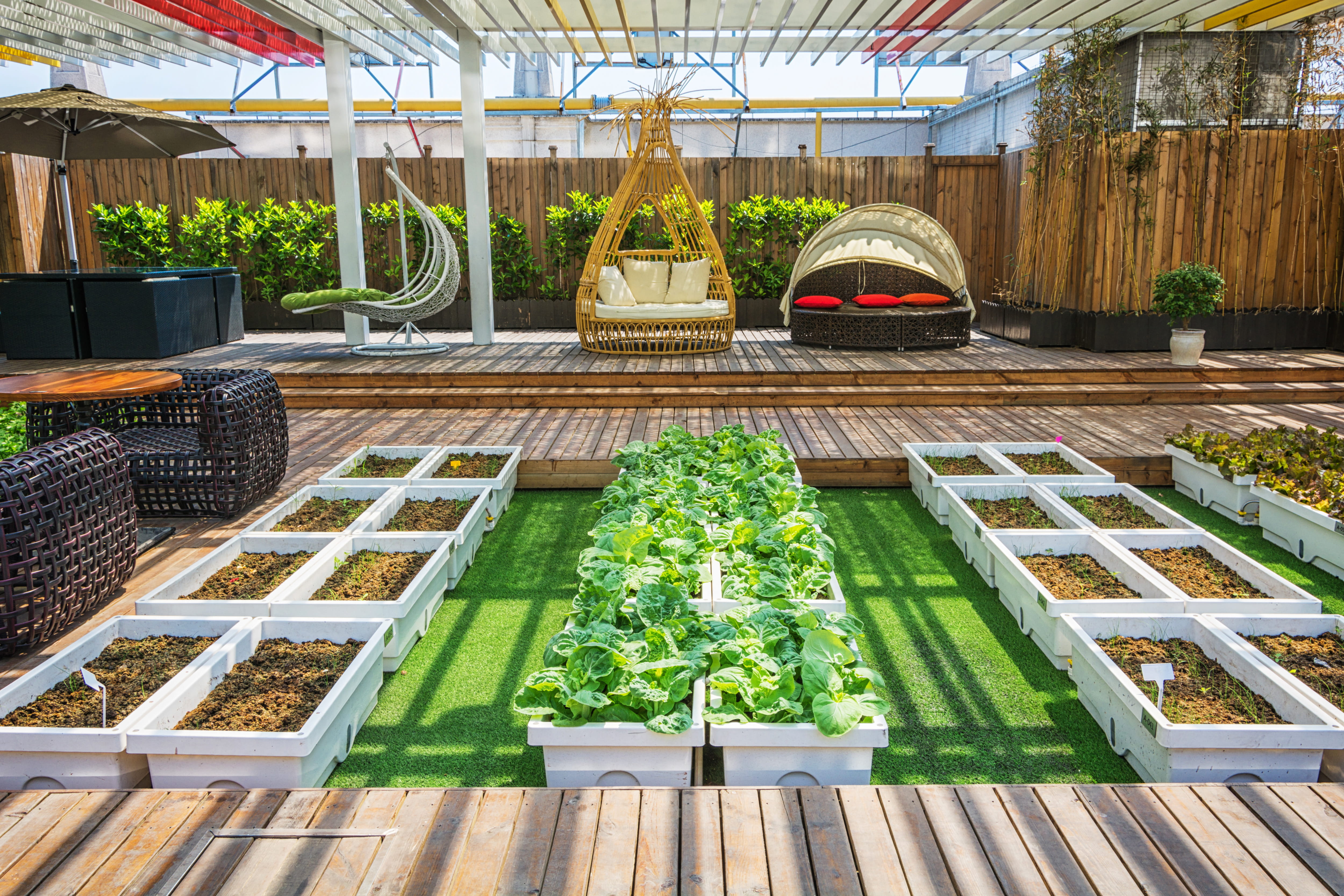 Lawn Transformation