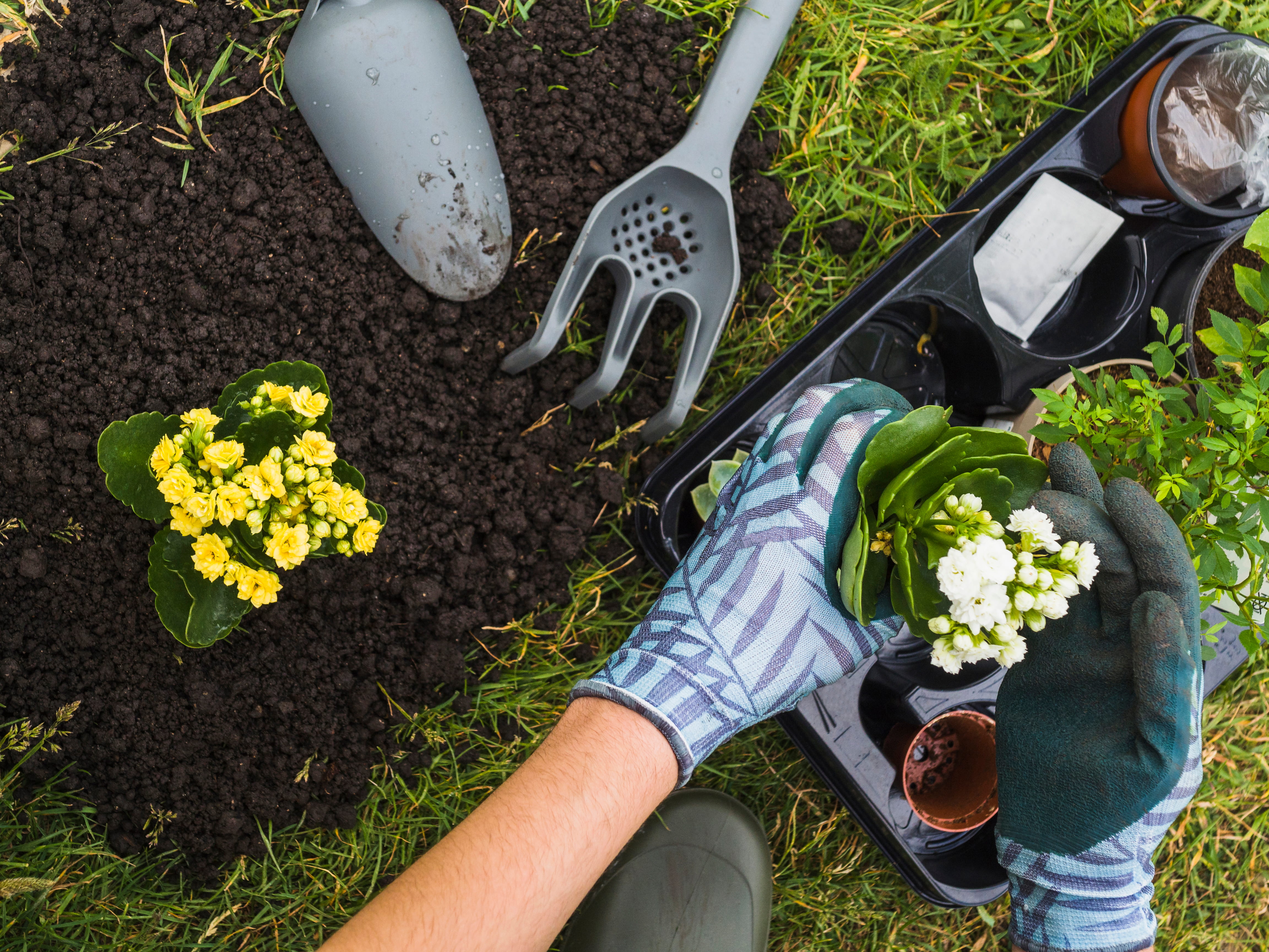 Garden Installation